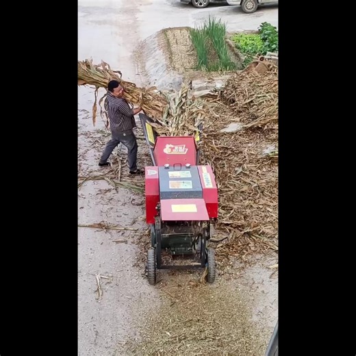 SUNSHINE New Easy Operation Electric Horizontal Grass Cutter High Efficiency 3 Ton/H Capacity Animal Feed Chopper Alloy Cast