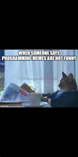 When someone says programming memes are not funny