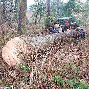 Skidder Logging