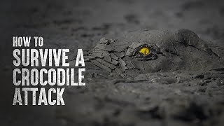How to Escape a Crocodile Attack