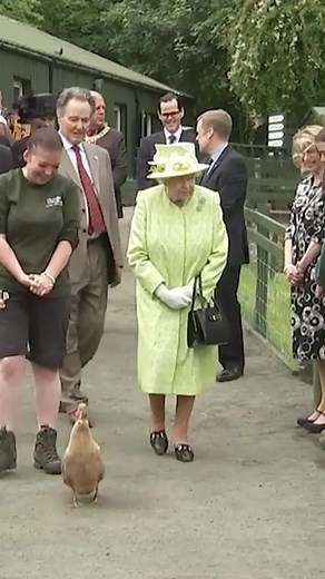 Queen Elizabeth's Heartwarming Laughter with a Piglet 🐷😂