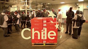 327K views · 3.4K reactions | "Es un tremendo orgullo llevar en nuestros envases la Marca Chile: quiere decir que adentro hay un producto de primerísima calidad" Frutos Secos Tribú. Ya son más de 100 las empresas que han decidido usar la Marca Chile. Solicita su uso en www.marcachile.cl/usodemarca | Marca Chile | Facebook