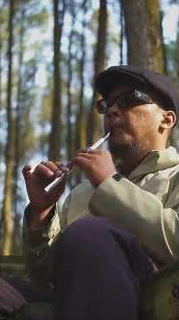 Butterfly - Digimon Adventure OST - By Koji Wada - Tin whistle D cover