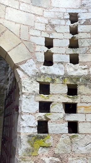 8.1K views · 196 reactions | In medieval France, the presence of a...