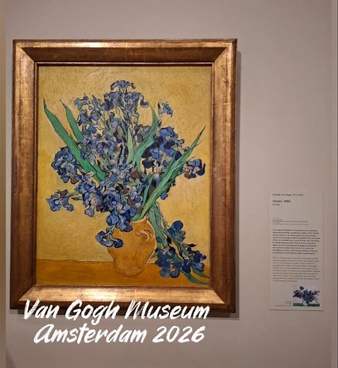 Today visited the Van Gogh Museum.#amsterdam #art #artist #vangogh #travel #2026 #summer