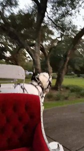 View Oak Crest Mansion by Horse Drawn Carriage by Mid-City Carriage out of New Orleans, LA 504-581-4415 | Oak Crest Mansion Inn