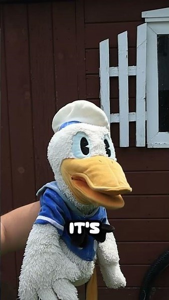 Donald Ducc Is Having A Normal Day