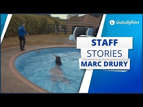 Did you know we take our horses swimming?