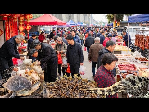 🐊 🦂 🐢 Chinese New Year Market in Guangzhou: From Traditional Goods to Unique Ingredients