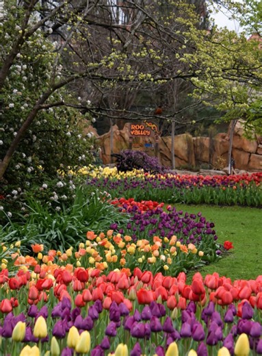 Ohio festival featured in new best-of list from ‘Midwest Living’