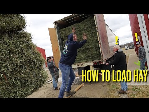 The BEST Way To Load Hay
