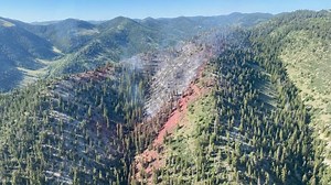 Lightning-caused fire burning in Ashley National Forest reaches 20 acres