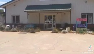 18 reactions | 喝ONE HOUR LEFT喝 Join us and donate blood. We appreciate the many, many, many folks and families who stepped up to save human lives at our sanctuary, today. We are spoiled with support for pets and people. Visit us before 3PM at 4500 24th Ave NW and join this wonderful movement. | Second Chance Animal Rescue | Facebook