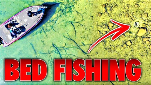 Stars align for once in a lifetime day of epic fishing