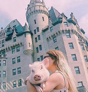 84K views · 199 reactions | We need Christopher the Pig's luxe life. | Yahoo Lifestyle Australia | Facebook