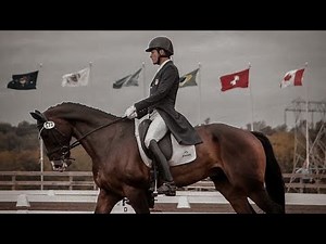 UNHOLY [Equestrian Music Video]