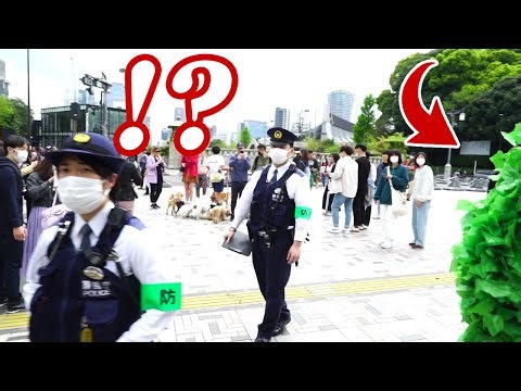 (JAPAN) Bushman come to "Harajuku" ! ...Surrounded by police. | Bushman prank
