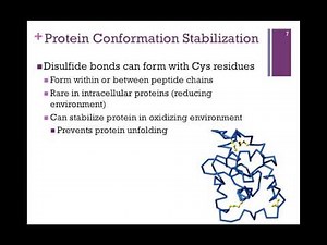 019-Tertiary Structure