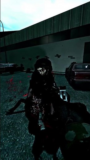 this is what you can do in Left 4 Dead 2 with mods 7