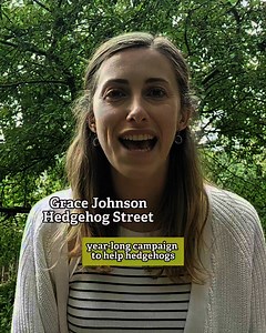 Go WILD for hedgehogs this summer! 🍂🦔 Simply choose a section of your garden to give back to nature! Choose your wild patch today & over the next year we’ll give seasonal tips & advice to encourage #hedgehogs. Find out more about how to #GoWildForHedgehogs 👉 https://buff.ly/vx5q7D7 #HedgehogStreet is jointly run by us & People's Trust for Endangered Species | British Hedgehog Preservation Society