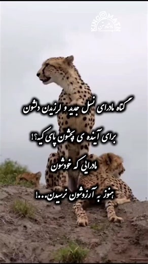 ‎🔱پادشــــاه متن🔱‎ on Instagram‎: "✍️حرف ناب 😢(سپاس از همراهیتون🌹) دوست داشتی پیجمو فالو کن👈@king__matn @king__matn"‎