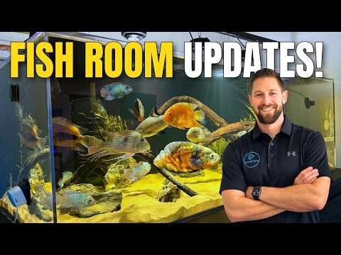 Big Fish Room Improvements! New Tanks, Live Plants & Breeding Cichlids