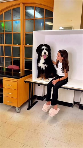 24 reactions | Yearbook & Marketing Committee meets once a week after dinner… we’re just getting started and can’t wait to capture the year! #yearbook2026 #marketing #photography #digitaldesign #clubs | Oldfields School | Facebook