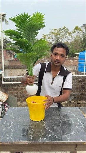 A consa tree ? 😱 Bengali mini blog #shorts #funny