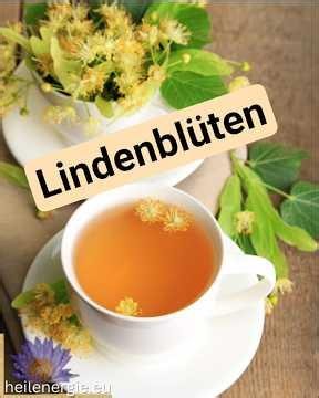 DIY Kräutertipps: Lindenblüte