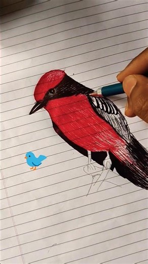 PYARA SA drawing Bird ka🥰 learn to draw ll #drawing #birds #shorts #video #viral #india