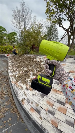 Efficient Leaf Blower Cleaning Techniques