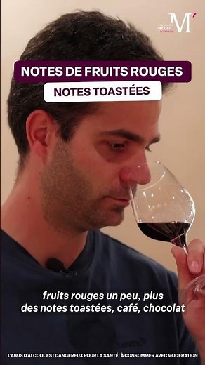 Les coulisses du Médoc : des vins pour toutes occasions