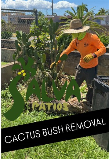 Cactus bush removal ❎🧤🌵✂️#lawncare #yardwork #landscape #nature #cleanup #maitenance #timelapse #removal #cactus #plants #ouch #salvapatios