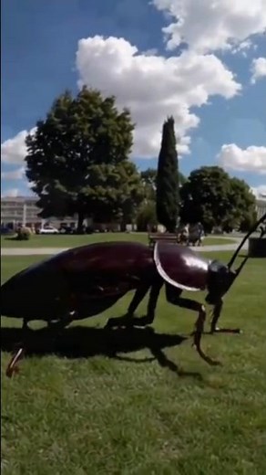 Giant cockroach #shorts #funny #comedy #viralvideo