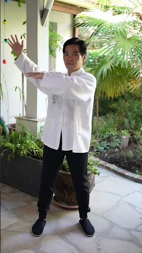 Tai Chi Chuan pour débutants