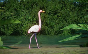 James's Flamingo - New Species (1.16)