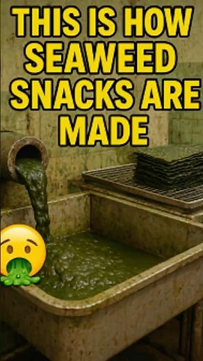 What Seaweed Snacks Are REALLY Made Of 🤢