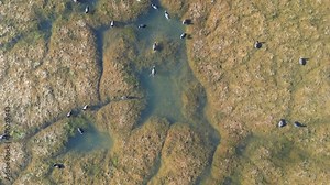 texture changes in the pond, algae colors of the water, seasonal environmental changes and mystical landscapes.