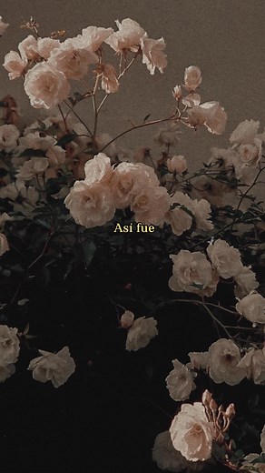 Isabel Pantoja - Así Fue