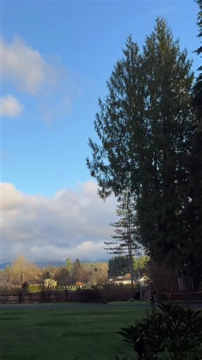 I intended to just time lapse the clouds going by and the trees swaying in the weak wind, and accidentally captured the formation of a lenticular cloud. #wawx #weather #washington #video | Washington Weather Chasers