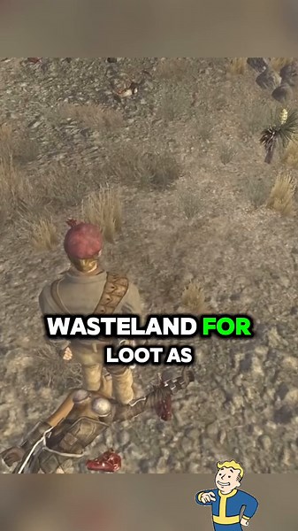 Hidden Loot Locations in Fallout New Vegas