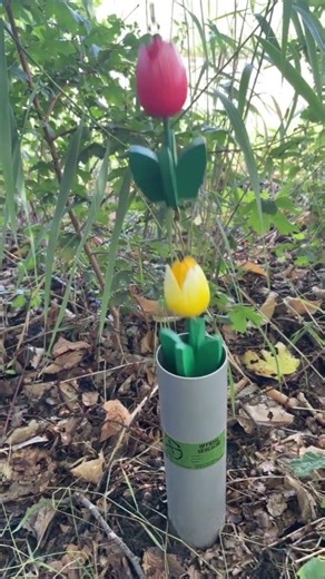 💚 Geocache of the Week 💚