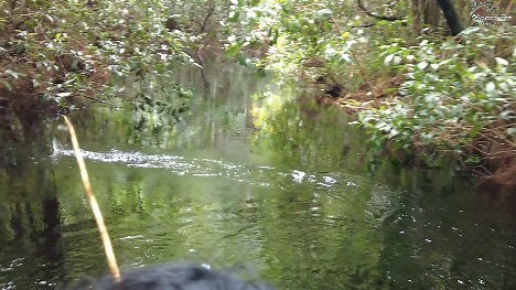 Channel yt Norman ttnt Outdoor | norman_ttnt_outdoor