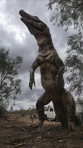 60-Foot Reptile Stalks Villagers in Australian Outback #australia #reptiles #outback | Most Amazing Top 10