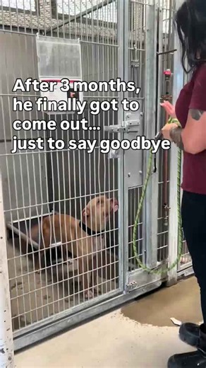 He finally found a home... then one heartbreaking call changed everything