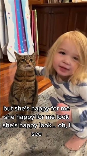 "Not Amused: Frustrated Cats Serving Maximum Attitude"