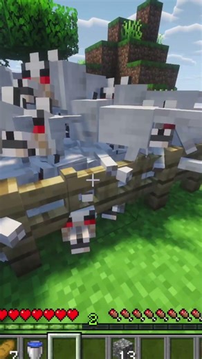 100 lobos vs Player Minecraft
