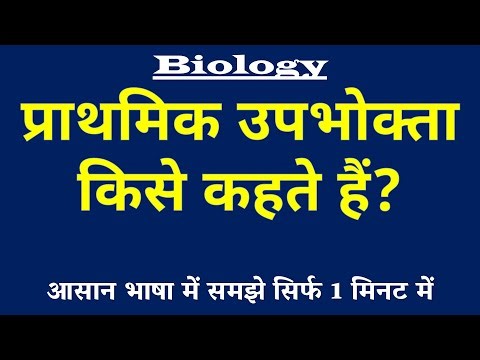 प्राथमिक उपभोक्ता किसे कहते हैं | Primary Consumer Kya Hai | Prathmik Upbhokta ki Paribhasha Biology