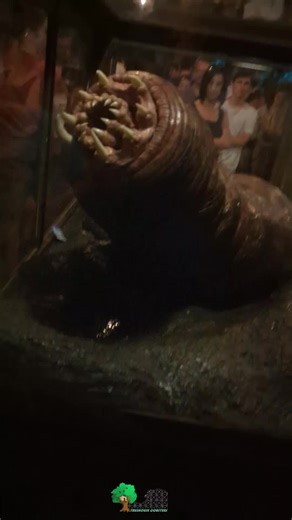 Carnictis Parasite Skull Island Reign Of Kong Islands of Adventure Don't forget to check out our other shorts https://youtube.com/@TreehouseCoasters #treehousecoasters