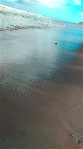 Discover Brazil's Stunning Beaches and Beautiful Women: A Tropical Paradise in Every Frame